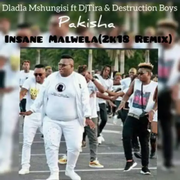 Dladla Mshungisi - Pakisha (Insane Malwela 2k18 Remix) Ft. Dj Tira & Distruction Boyz